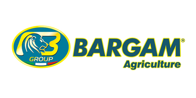 Bargam